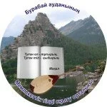 Мемлекеттік қызметшілерді кәсіби бағдарлы оқытуға арналған салалық бағдарлама