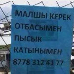 «Қайырсыз хабарландыру» мазаққа майдай жағады